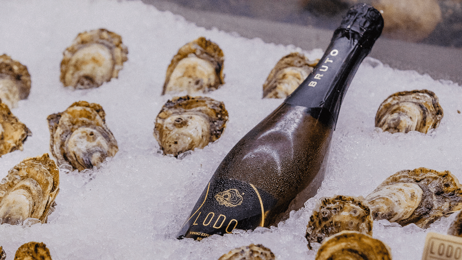 Lodo Ostraria e Marisqueira Faro Portugal sparkling bike