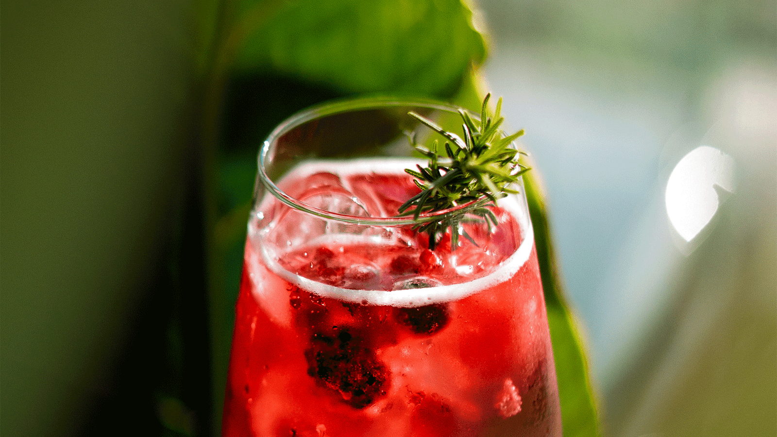 terrazzo restaurant and sunset faro portugal hibiscus fizz